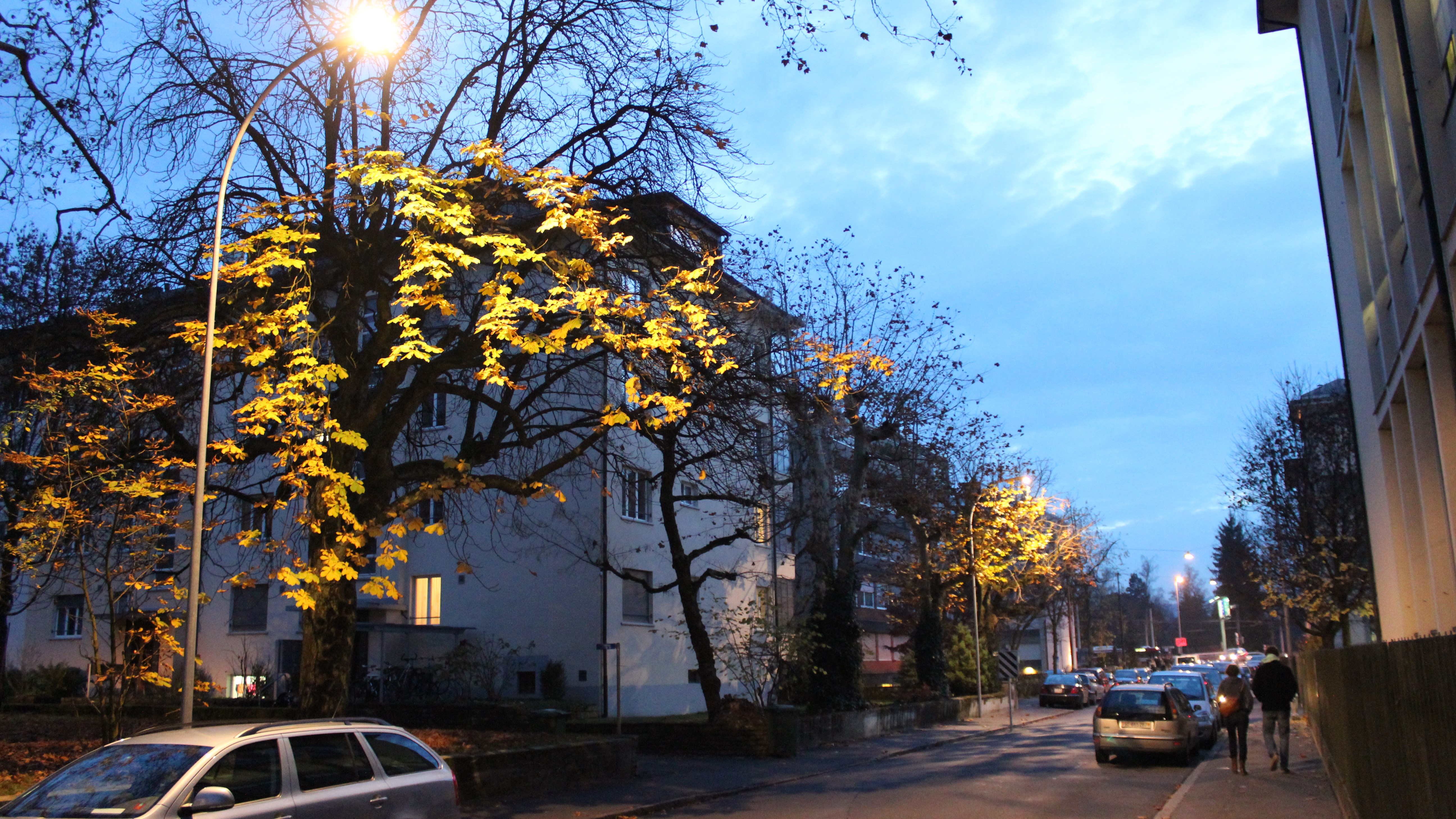 Strassenbeleuchtung Laub